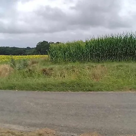 Au Petit Galop Nassiet