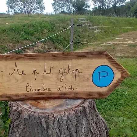 Проживание в семье Au Petit Galop